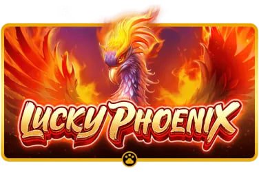 wowbet
